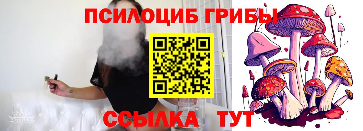 Псилоцибиновые грибы мухоморы Елабуга